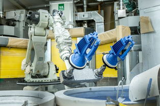 專訪法國賽峰公司高層 貴陽工廠硅鐵粒產品質量卓越，引領行業標準