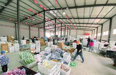 九佰街速度 四年造就區域零售龍頭，深耕農產品零售